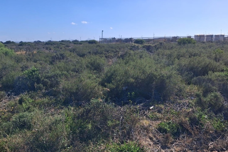 Commercial Property for Sale in Fountains Estate Eastern Cape